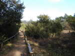 Hollands Schwarzwald